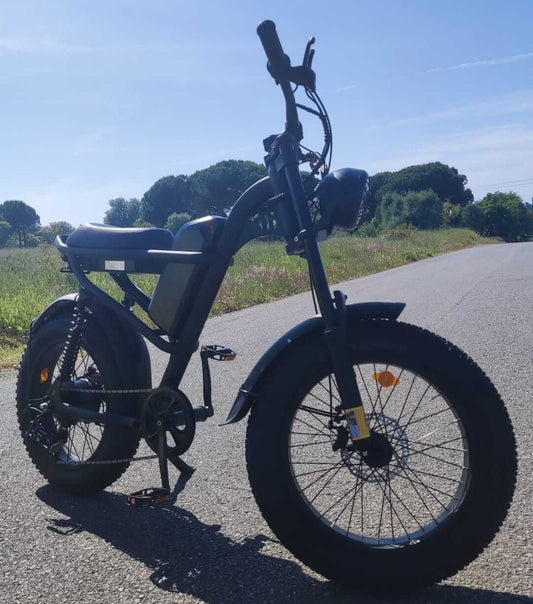 Z8 Motorcycle/eBike with pedals/without license plate 0.25Kw